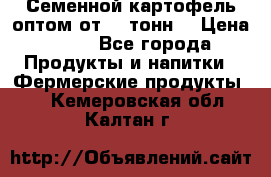 Семенной картофель оптом от 10 тонн  › Цена ­ 11 - Все города Продукты и напитки » Фермерские продукты   . Кемеровская обл.,Калтан г.